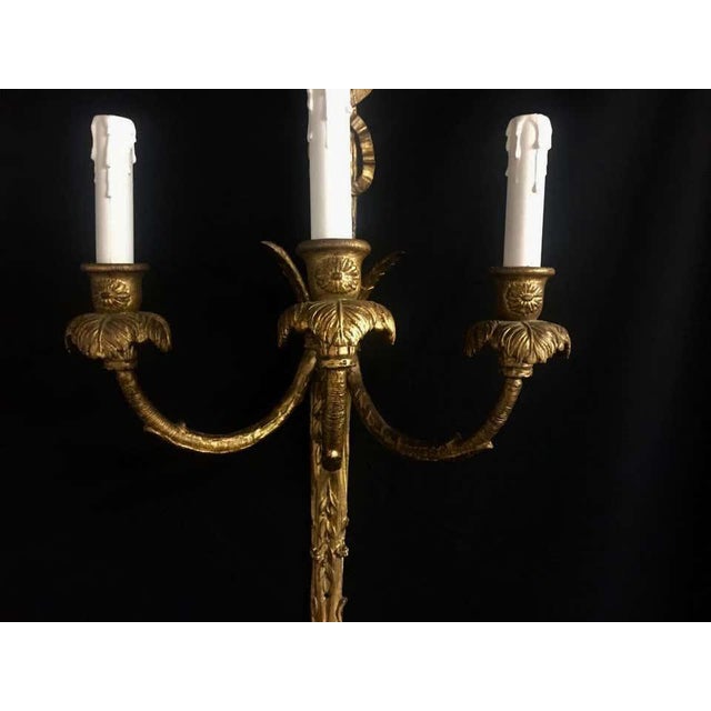 An impressive pair of rococo french giltwood wall lights. Each is carved with feathers, tassels and ribbons, there are...