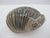 Lisa Larson Lilla Zoo Series Cat Loaf Stoneware Gustavsberg Sweden Figurine For Sale - Image 4 of 10