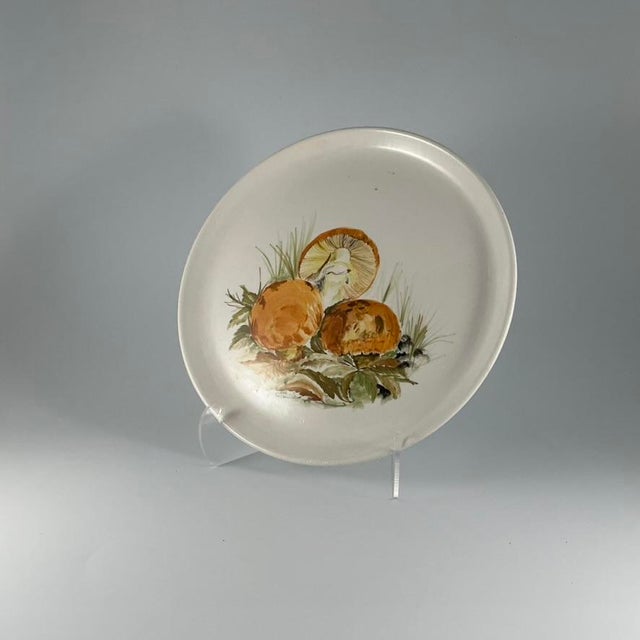 Ceramic Vintage Hand-Painted Mushroom Plate Set of 9 Italian Ceramic Art, 1970, Set of 9 For Sale - Image 7 of 18
