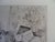 Modern Mily Possoz, La sieste du chat, Etching For Sale - Image 3 of 8