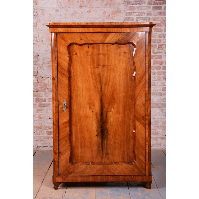 Biedermeier Cabinet in Walnut, Austria, 1830s For Sale - Image 10 of 18