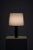 Table Lamps from Bergbom, Sweden, Set of 2 For Sale - Image 6 of 9