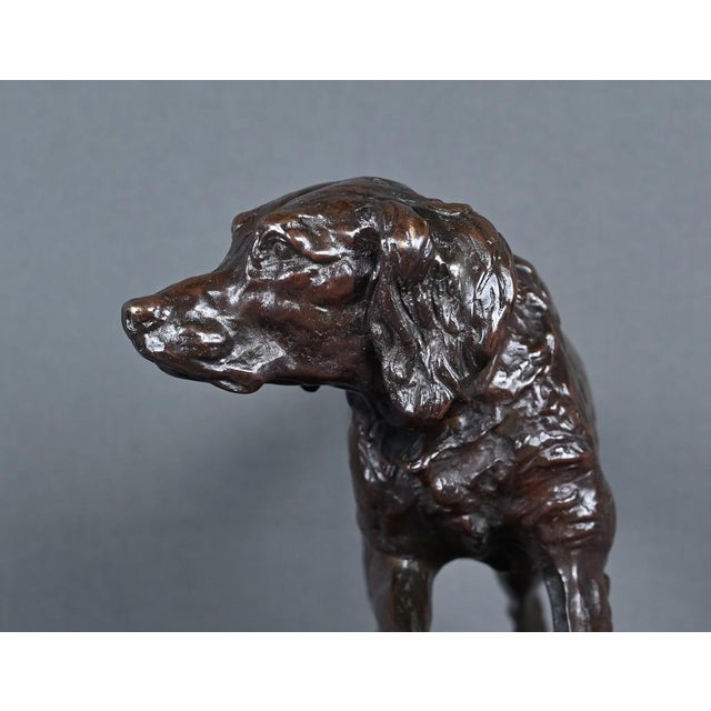 P-J. Mêne, Spaniel on Point, Mid-19th Century, Bronze For Sale - Image 11 of 17