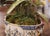 Ceramic 19th Century French Hand Painted Faience Jardinière Signed Hb Quimper For Sale - Image 7 of 13