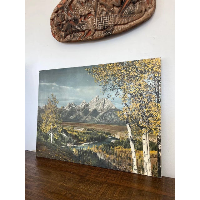 Vintage tinted photo print believed to be 1970 era. This Piece has nice patina and character. Vintage Condition as...