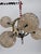 Space Age Brass Ceiling Lamp by Richard Essig, 1970s For Sale - Image 17 of 18