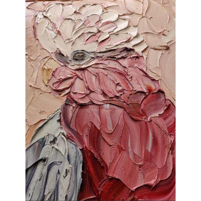 Galah on Blushing Peach, 2022 Oil on canvas, signed lower right,100 x 75 cm. Signed and titled verso. Gallery label for...