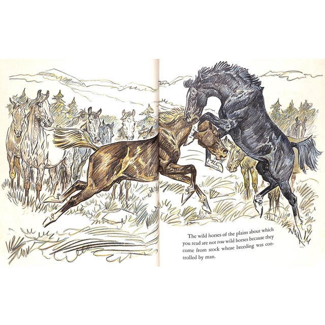 "Your Pony's Trek Around the World" 1956 Brown, Paul For Sale - Image 13 of 15
