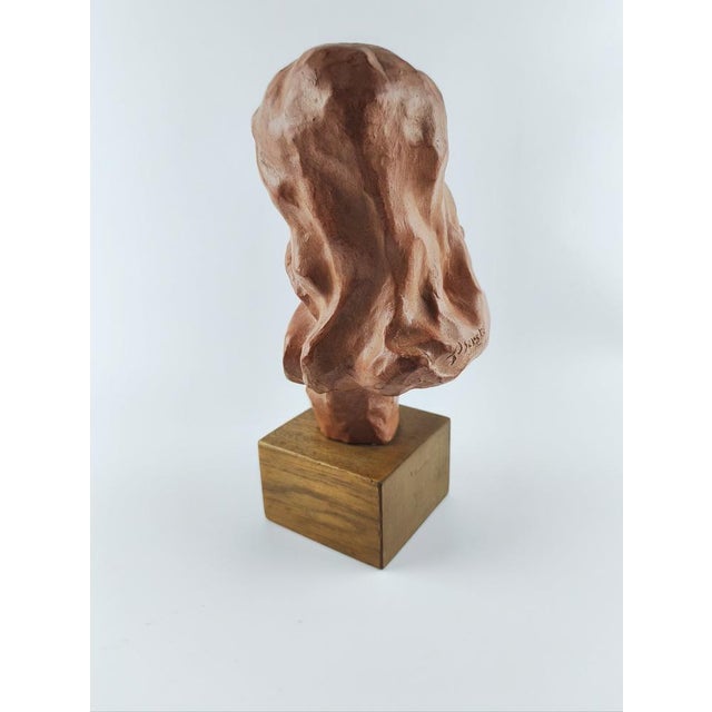 Mid-Century Belgium Terracotta Bust by Paul Serste, 1950s For Sale - Image 4 of 7