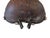 Vintage Traditional African Bolon or Calabash Gourd Guitar. 17" H For Sale In New York - Image 6 of 9