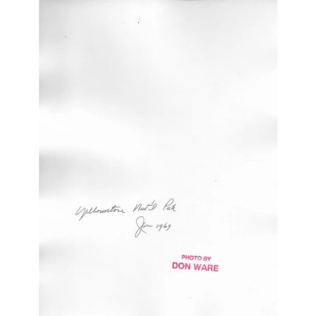 1969 black and white photograph by Los Angeles photographer Don Ware of a river in Yellowstone National Park in Wyoming....