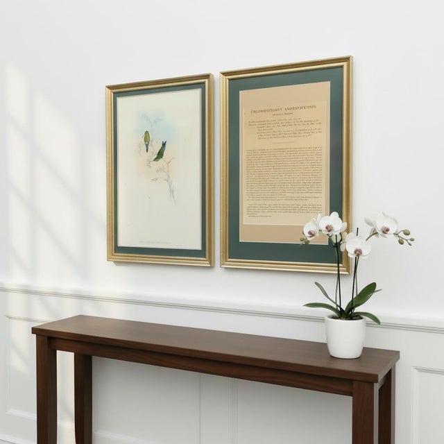 Mid 19th Century Antique c.1861 John Gould Hummingbird Lithograph & Text Framed Gallery Display For Sale - Image 5 of 11