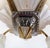 Metal 1930s Art Deco Gilt, Silvered Bronze Chandelier, Frosted Glass Shades For Sale - Image 7 of 14