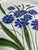 Late 20th Century Italian Glazed White Pottery Platter With Blue Cornflowers For Sale - Image 13 of 18