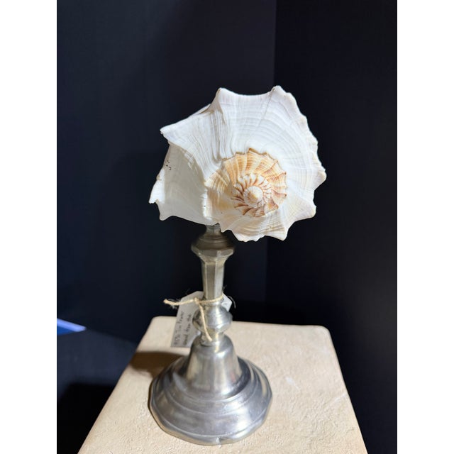Step into a studio-turned-sanctuary. This sale features a series of original works born from a fascination with the ornate...