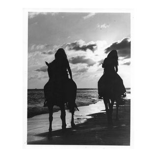 1973 Horses on Bahamas Beach Photograph For Sale