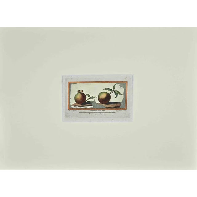 Francesco Cepparuli, Antiquities of Herculaneum, Original Etching, 18th Century For Sale - Image 3 of 3