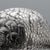 20th Century Italian Silver Pheasant Statues, 1920s, Set of 2 For Sale - Image 16 of 18