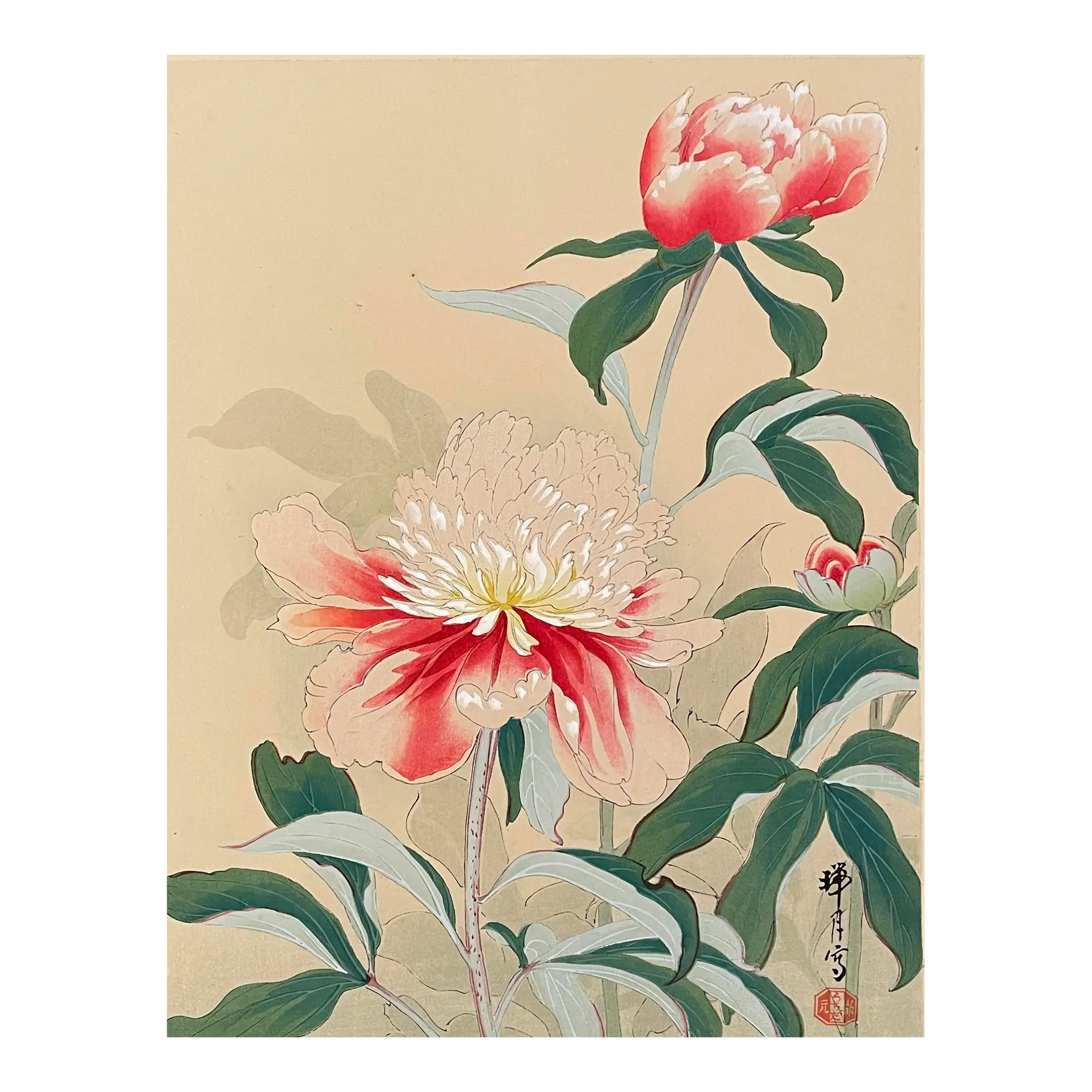 Zuigetsu Ikeda Peony Japanese Woodblock Print | Chairish