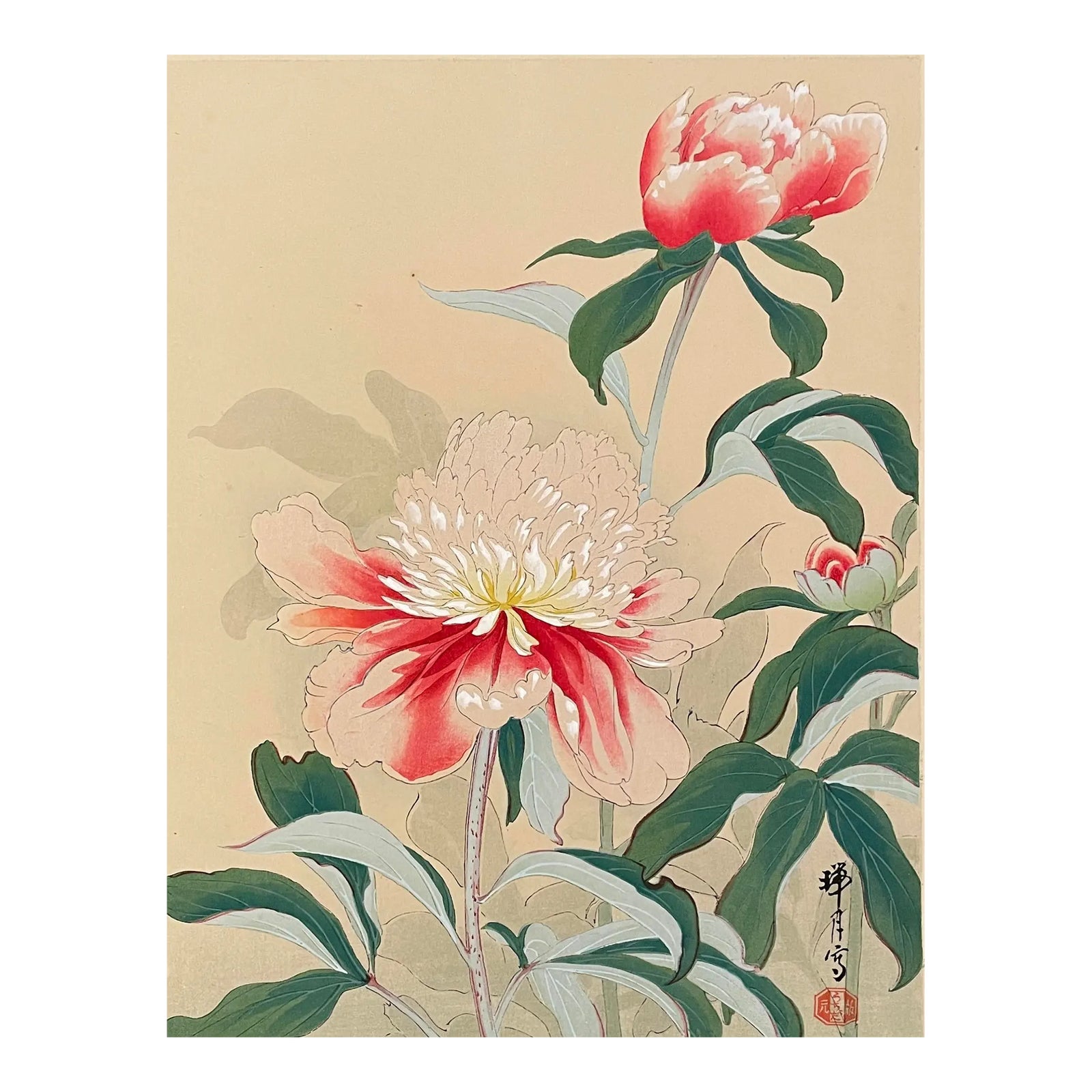Zuigetsu Ikeda Peony Japanese Woodblock Print | Chairish