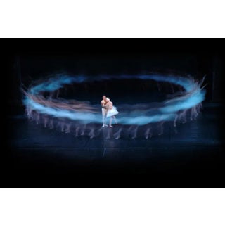 Swan Lake Study 2 by Alex Axon Print, 24" x 36" For Sale