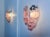 Vintage Italian Murano Wall Lights with Pink Lattimo Glasses, 1990s, Set of 2 For Sale - Image 13 of 14