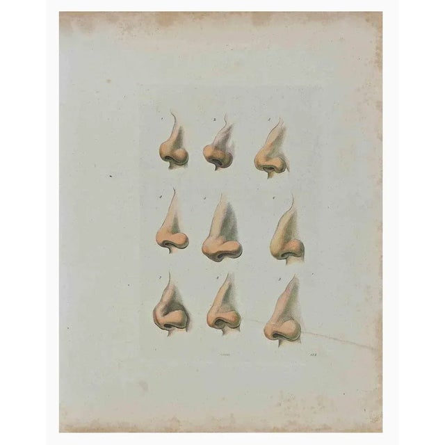 Thomas Holloway, Noses, The Physiognomy, Original Etching, 1810 For Sale - Image 3 of 3
