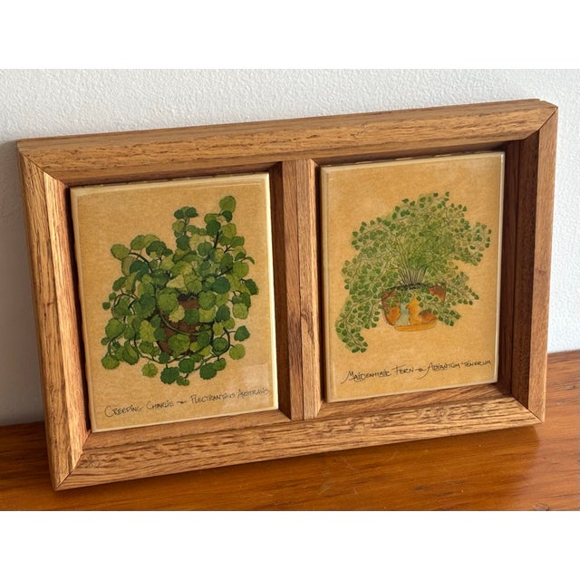 For the plant lover, a charming pair of plant tiles framed together. Pretty pictures of Creeping Charlie and the...
