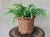 Excellent Pre-Owned Condition. Note: Faux greens are not included. Take a look at this fabulous rustic, yet contemporary...