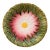 French Majolica Daisy Plate Orchies, Circa 1890 For Sale