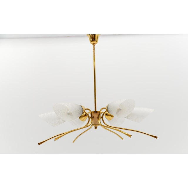 1950s Mid-Century Modern Six-Armed Brass Sputnik Lamp, 1950s For Sale - Image 5 of 13