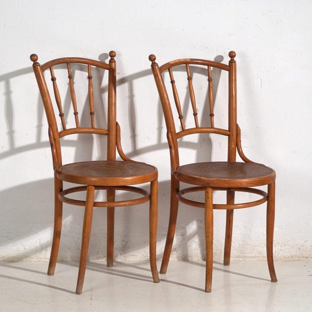 Antique Bentwood Chairs, Central Europe, 1900s, Set of 2 For Sale - Image 11 of 11