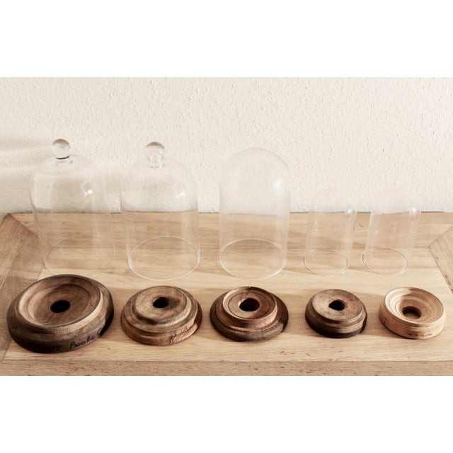 A fascinating collection of French handblown glass display cloches, presented on a wooden stand that was formerly used as...