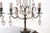 Late 19th Century French 19th Century Candelabra Table Lamps - A Pair For Sale - Image 5 of 10