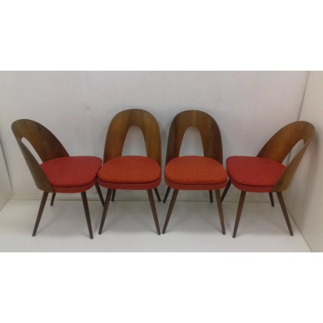 Dining Chairs by Antonín Šuman, 1960s, Set of 4 For Sale - Image 9 of 11