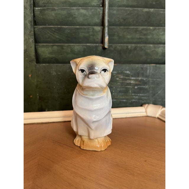 In found condition Dog with a bib waiting for dinner