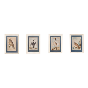 18th Century Watercolors of Birds by Abraham Van Meertens (1747-1823) - Set of 4