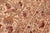 Shabby Chic 1990's Floral Beige/Gray Wool Rug - 6'1'' X 9'10'' For Sale - Image 4 of 9