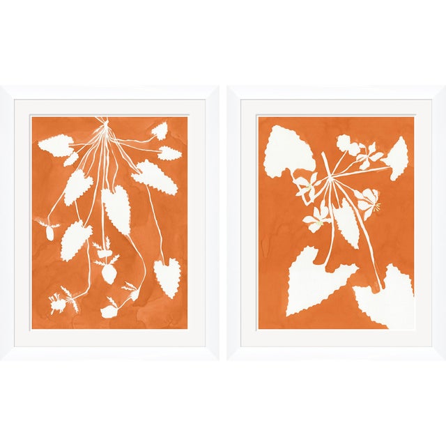 Hable Marigold Pixie and Alocasia by Susan Hable For Sale - Image 4 of 4
