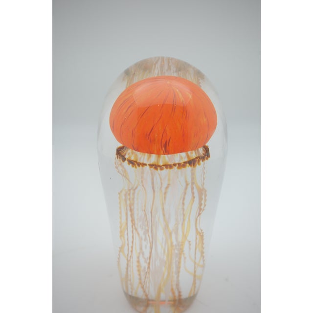 Sunrise glass jellyfish sculpture. Blown glass sculpture of jellyfish, in Sunrise, made in the USA. Other color variations...