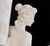 Quo Vadis Sculpture from the Novel by Sienkiewicz, 1900, Marble For Sale - Image 17 of 18