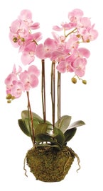 Example of Modern Greenery