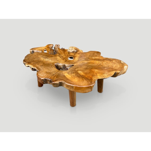 Andrianna Shamaris Single Slab Live Edge Coffee Table For Sale In New York - Image 6 of 18