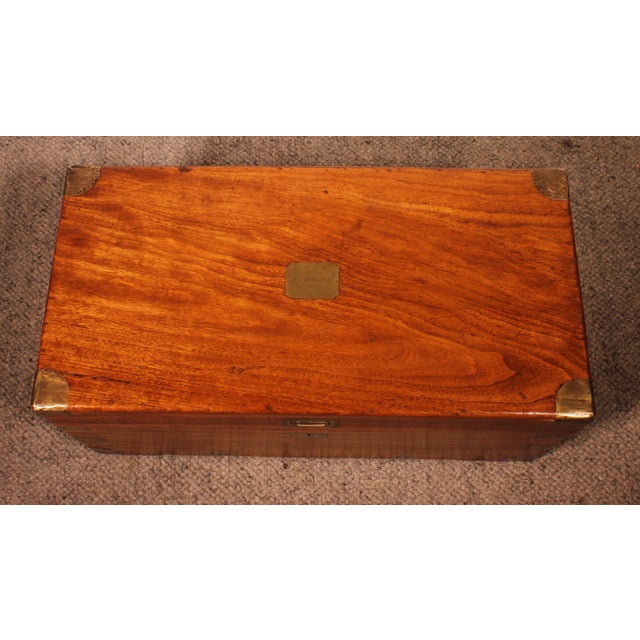 Marine Camphor Wood Chest, 19th Century For Sale - Image 4 of 12