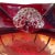 Vetreria Fratelli Toso Vintage Murano Red Orange Amberina Controlled Bubbles Italian Art Glass Basket Shape Bowl For Sale - Image 4 of 6