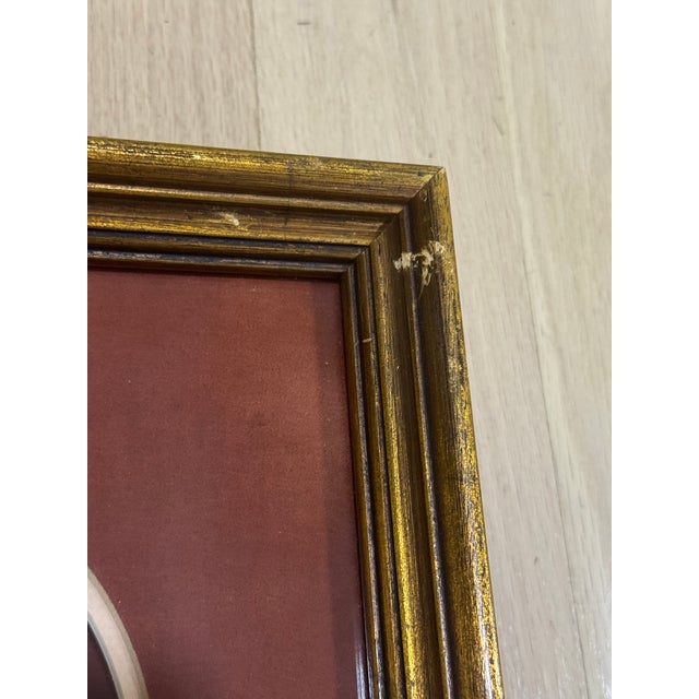 Vintage Framed Nautilus Seashell For Sale - Image 4 of 11