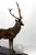 Art Deco Sculptural Deer Lamp in Bronze and Marble, France, 1930s For Sale - Image 16 of 18