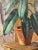 Giulio Benzi, Plant, Oil Painting on Cardboard, Framed For Sale - Image 4 of 7