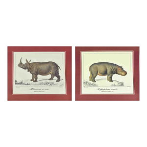 Mid 20th Century French Natural History Animal Zoological Illustrations Prints - Hippo & Rhino - Set of 2