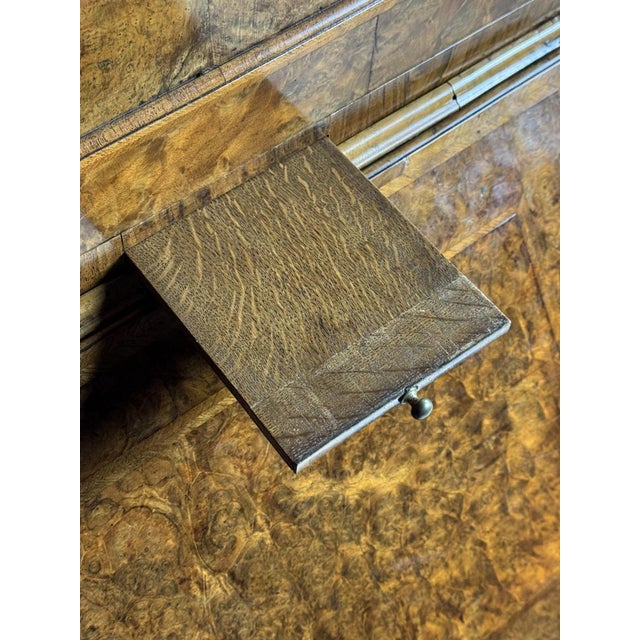 Bookcase in Burr Walnut For Sale - Image 18 of 18